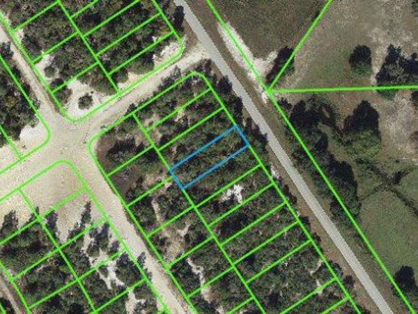 1023 Cr 29, LAKE PLACID, FL 33852