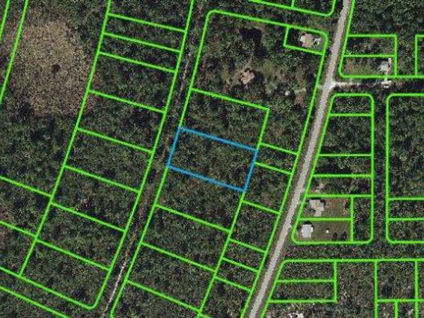 737 Dolphin AVENUE, LAKE PLACID, FL 33852