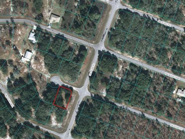 00 MALAUKA DRIVE, OCKLAWAHA, FL 32179