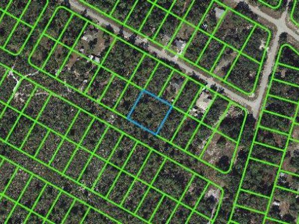 1056 FREEHILL AVENUE, LAKE PLACID, FL 33852