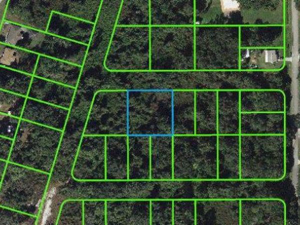 1503 Scrub Oak STREET, LAKE PLACID, FL 33852