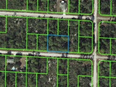 3443 Ostrich STREET, LAKE PLACID, FL 33852