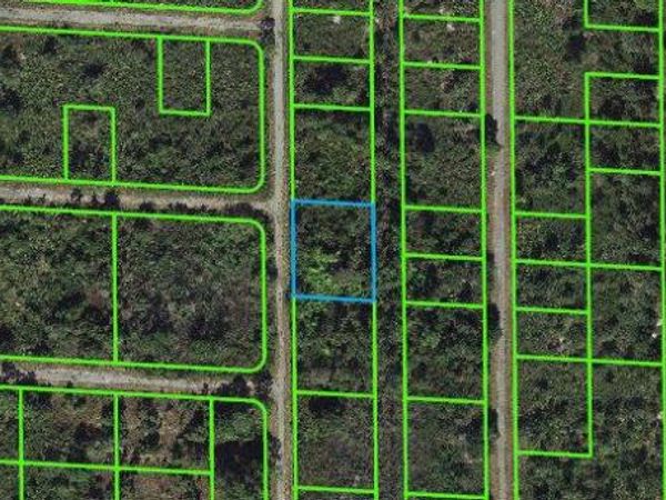 941 Davis STREET, LAKE PLACID, FL 33852