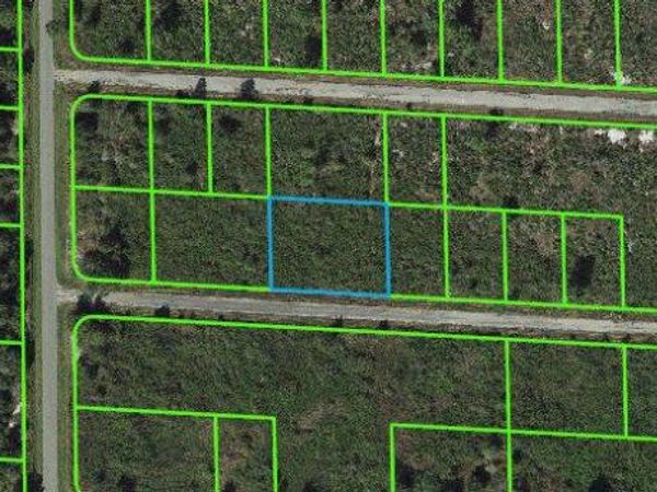 3455 Greentree DRIVE, LAKE PLACID, FL 33852