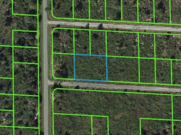 3459 Greentree DRIVE, LAKE PLACID, FL 33852