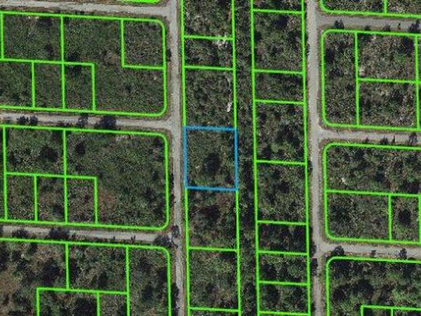 933 Carlsbad STREET, LAKE PLACID, FL 33852