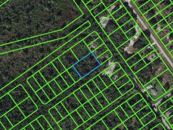 1234 Haviland STREET, LAKE PLACID, FL 33852