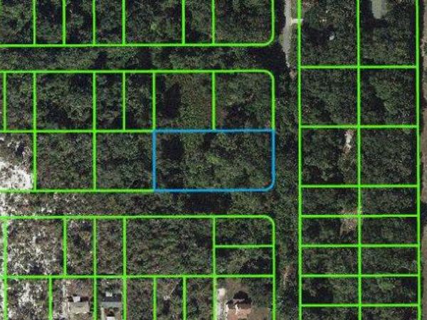 258 Marshall AVENUE, LAKE PLACID, FL 33852