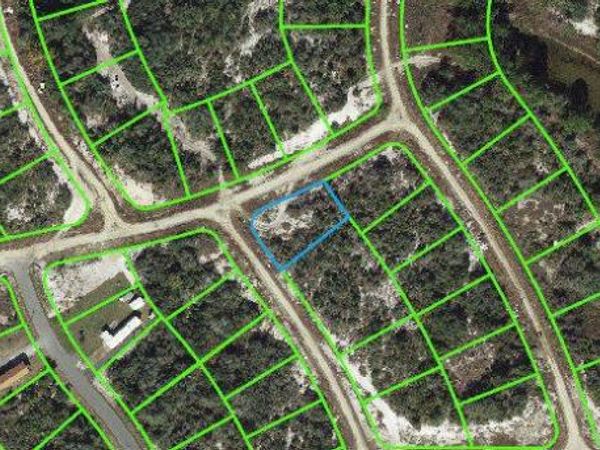 115 Jubilee DRIVE, LAKE PLACID, FL 33852