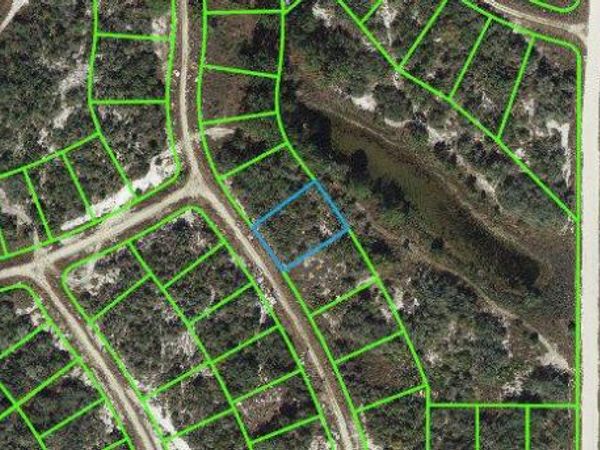 119 Summer Oak DRIVE, LAKE PLACID, FL 33852