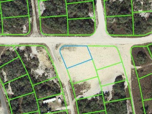 137 Briarpatch DRIVE, LAKE PLACID, FL 33852