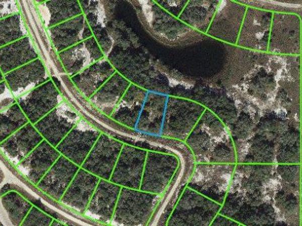 211 Dargen DRIVE, LAKE PLACID, FL 33852