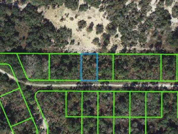 212 Rolling Hills DRIVE, LAKE PLACID, FL 33852