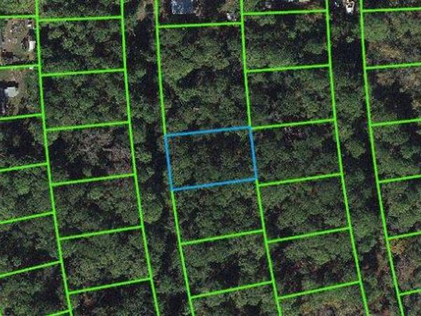 217 Harmony COURT, LAKE PLACID, FL 33852