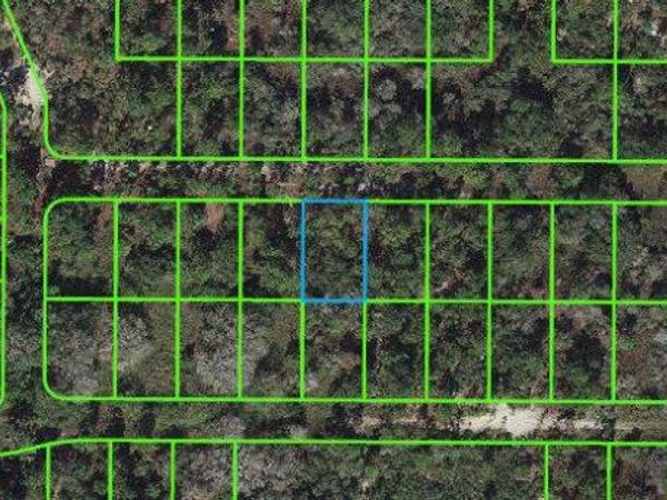 225 Tannery LANE, LAKE PLACID, FL 33852