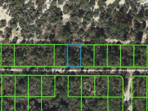 236 Rolling Hills DRIVE, LAKE PLACID, FL 33852