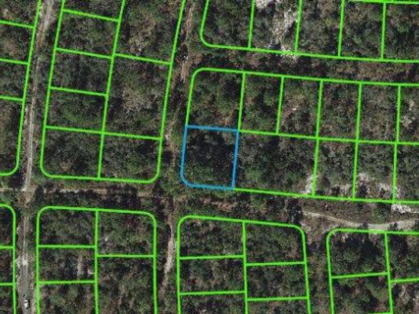 301 Sunny Side DRIVE, LAKE PLACID, FL 33852
