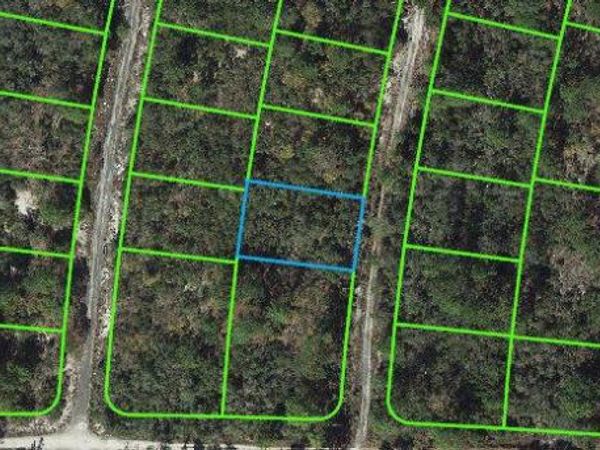 308 IMAGINATION DRIVE, LAKE PLACID, FL 33852