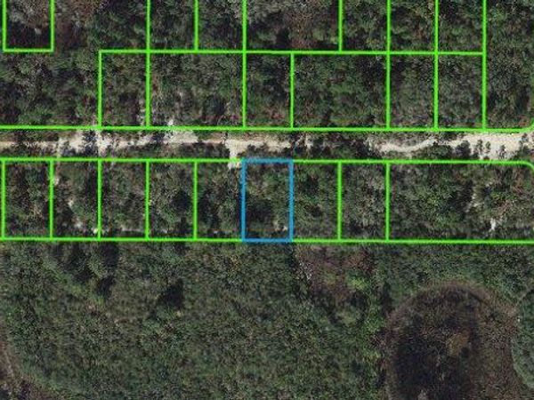 325 Claverton DRIVE, LAKE PLACID, FL 33852