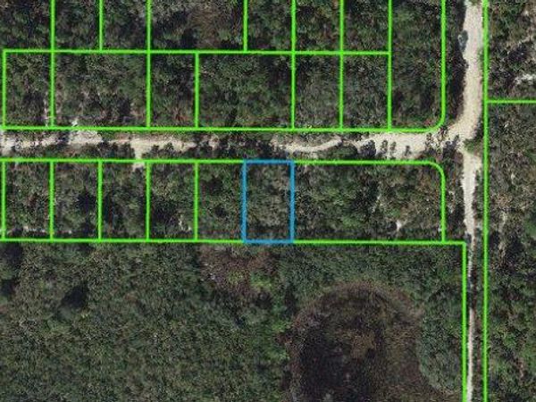 333 Claverton DRIVE, LAKE PLACID, FL 33852