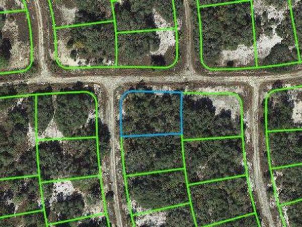 407 Crown DRIVE, LAKE PLACID, FL 33852