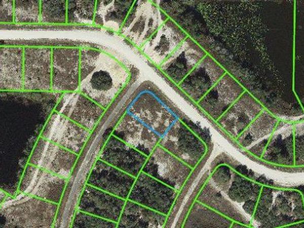 425 Jack Weisser BOULEVARD, LAKE PLACID, FL 33852