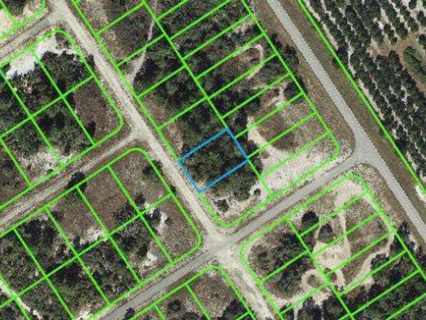 616 Morningside DRIVE, LAKE PLACID, FL 33852