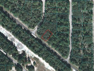 50 LOCUST ROAD, OCALA, FL 34472