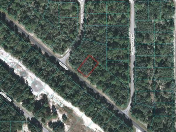 50 LOCUST ROAD, OCALA, FL 34472