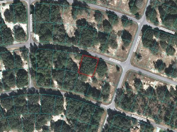 00 FISHER TERRACE, OCKLAWAHA, FL 32179