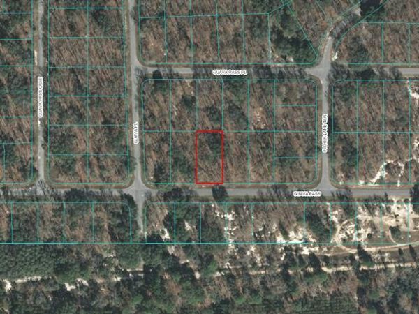 00 GUAVA PASS, OCKLAWAHA, FL 32179
