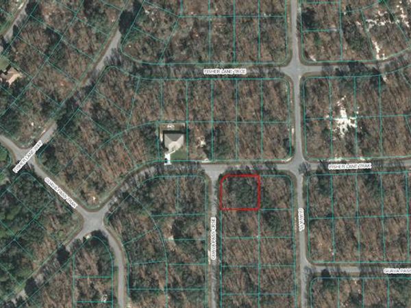 00 GUAVA PASS COURSE, OCKLAWAHA, FL 32179