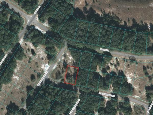 00 GUAVA TERRACE TRAIL, OCKLAWAHA, FL 32179