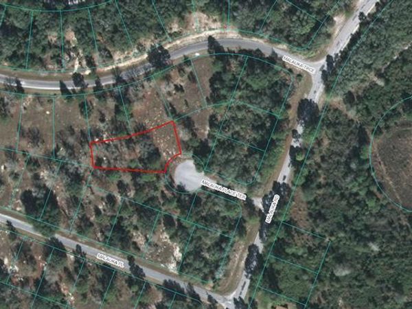00 MALAUKA PLACE TERRACE, OCKLAWAHA, FL 32179