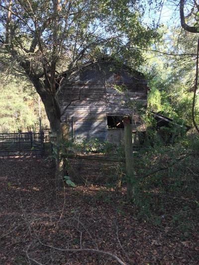 7237 NE 33rd Court, Anthony, FL 32617 Photo