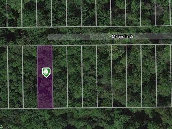 V/L Magnolia #17 Drive, Madison, OH 44057