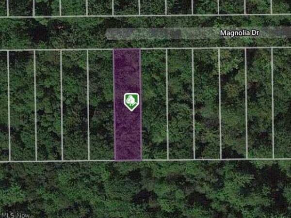V/L Magnolia #18 Drive, Madison, OH 44057