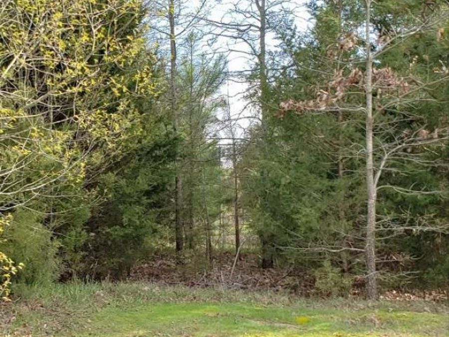 Property Image 38