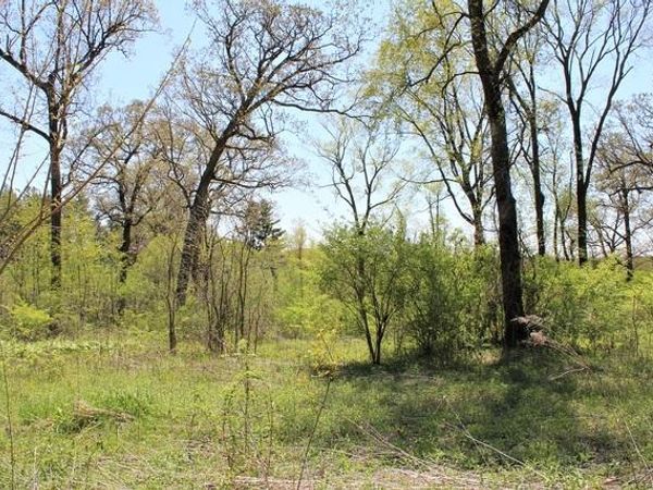 Lot 20 Masters Drive, Morrison, IL 61270