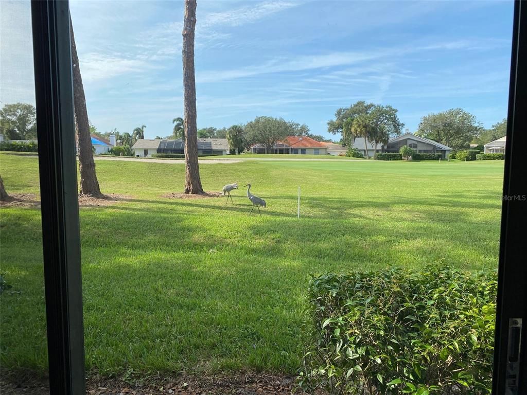 6281 Timberlake Drive, Unit H6, Sarasota, FL 34243 Photo