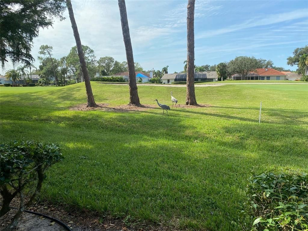 6281 Timberlake Drive, Unit H6, Sarasota, FL 34243 Photo