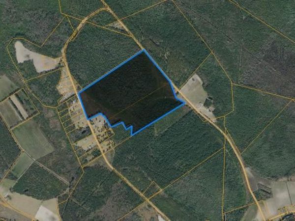 TBD Fifteen Mile Bay Rd., Nichols, SC 29581