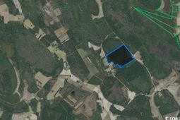 Tbd Fifteen Mile Bay Rd. photo 4