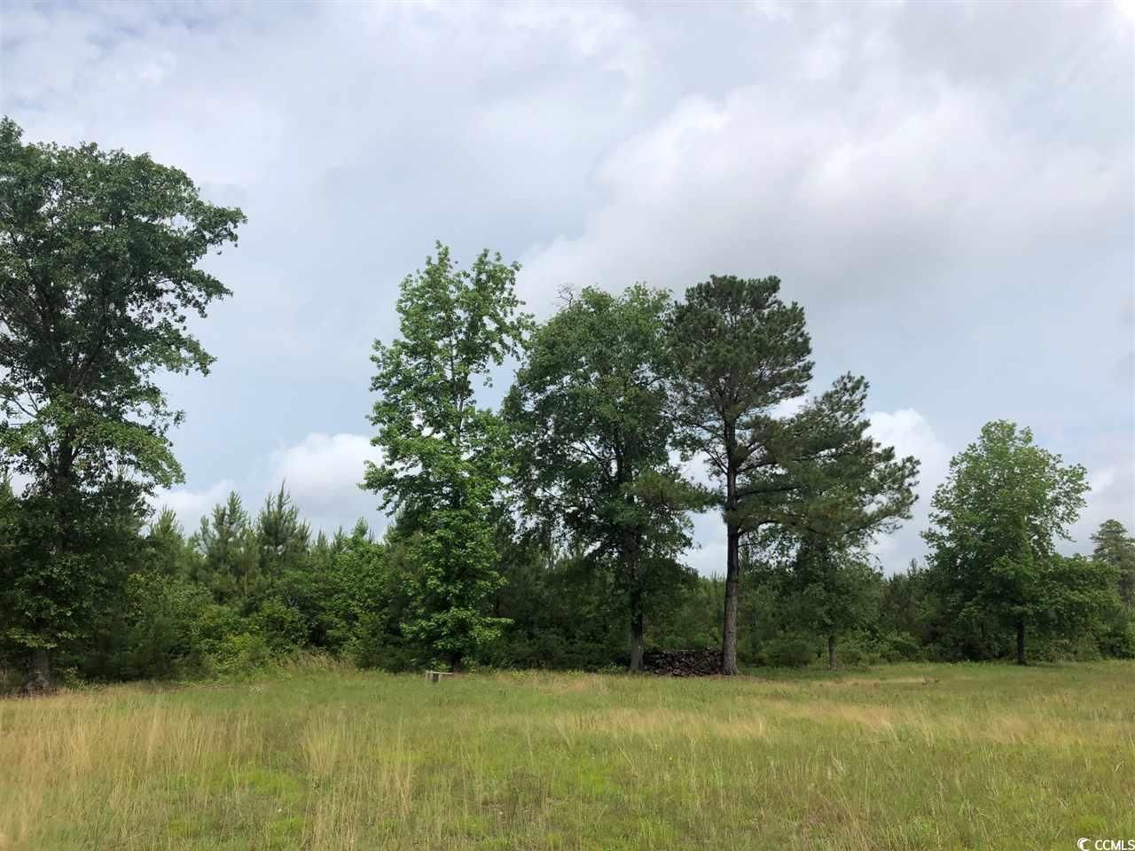 Tbd Fifteen Mile Bay Rd. Photo 5