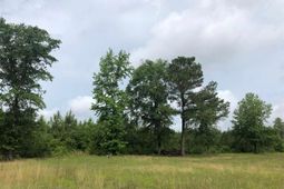 Tbd Fifteen Mile Bay Rd. photo 4