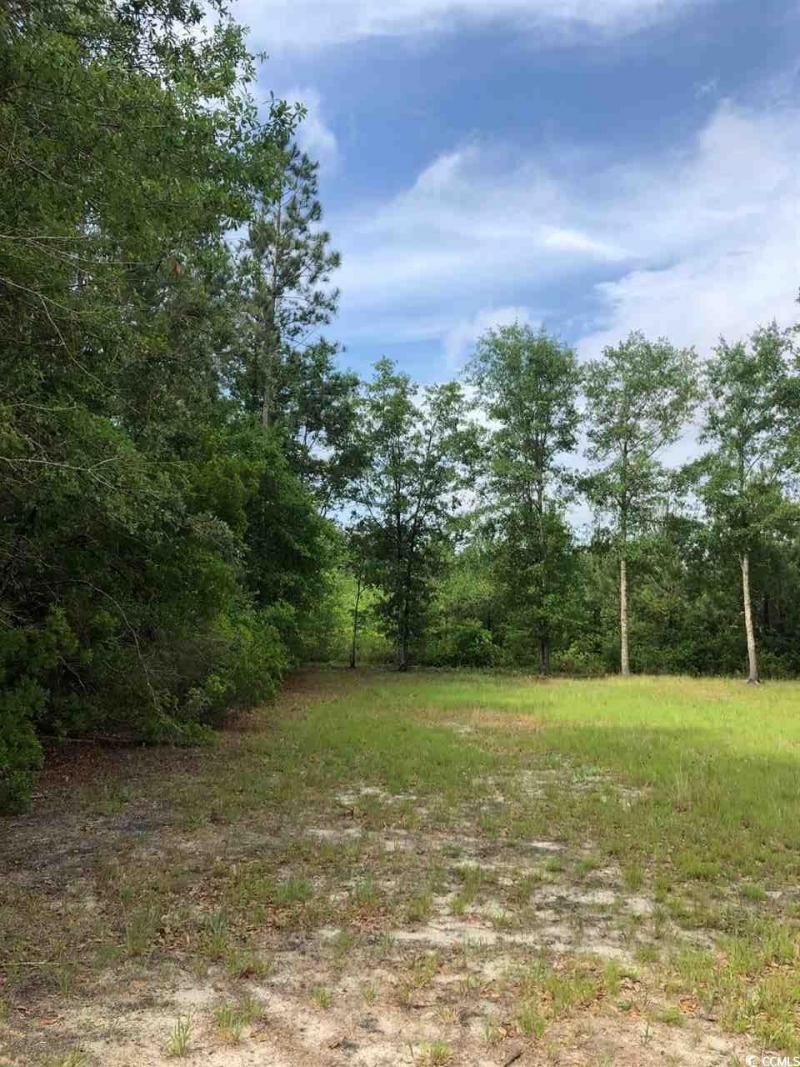 Tbd Fifteen Mile Bay Rd. Photo 6