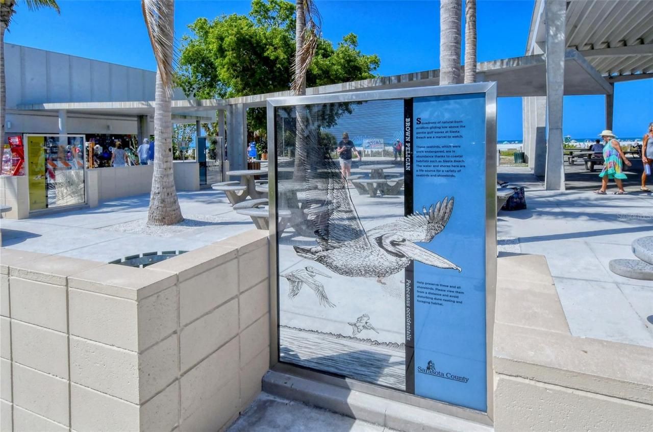 2309 Lynn Street, Sarasota, FL 34231 Photo