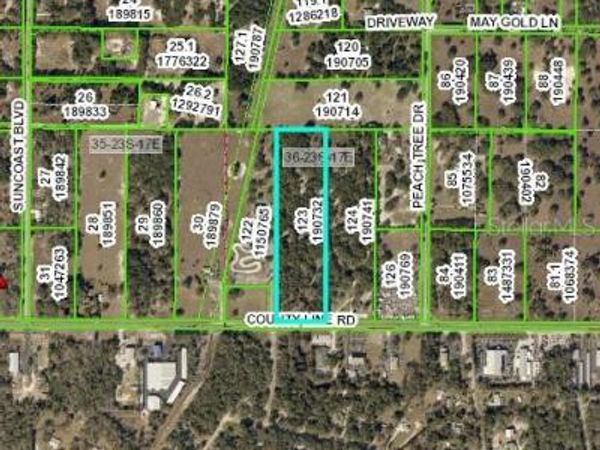 9267 COUNTY LINE ROAD, SPRING HILL, FL 34608