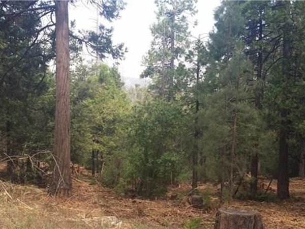 0 Solitude Lane, Shaver Lake, CA 93664