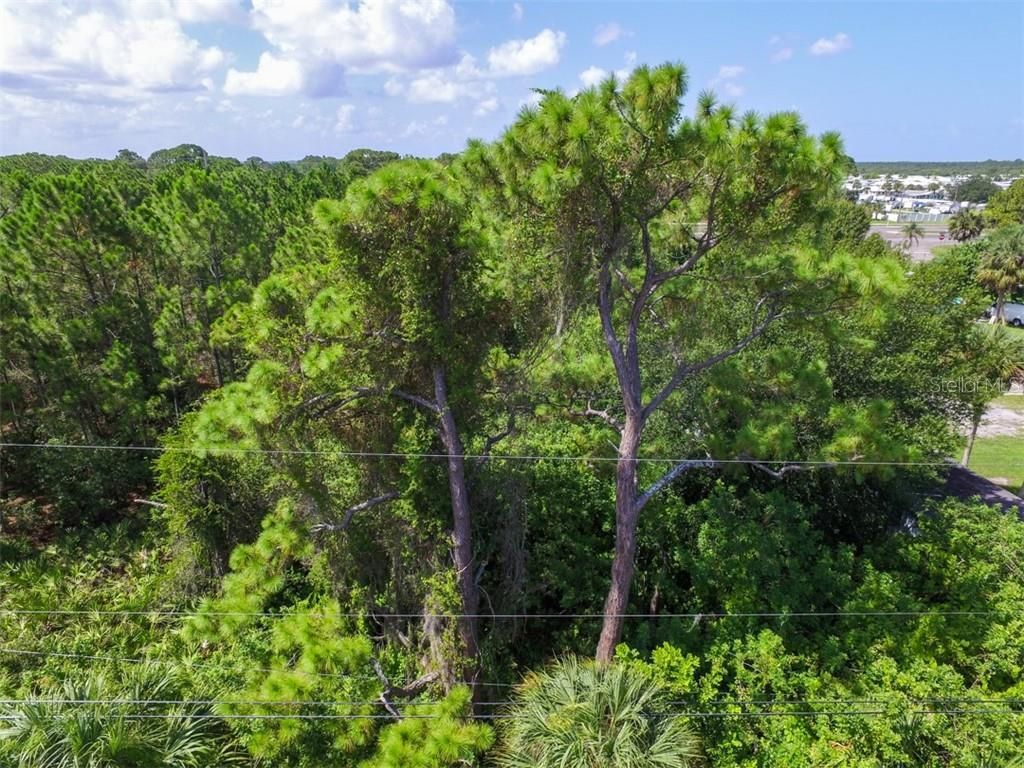 11151 Tamiami Lots 43 44 45 & 46 Trail S, North Port, FL 34287 Photo